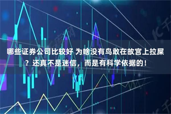 哪些证券公司比较好 为啥没有鸟敢在故宫上拉屎？还真不是迷信，而是有科学依据的！