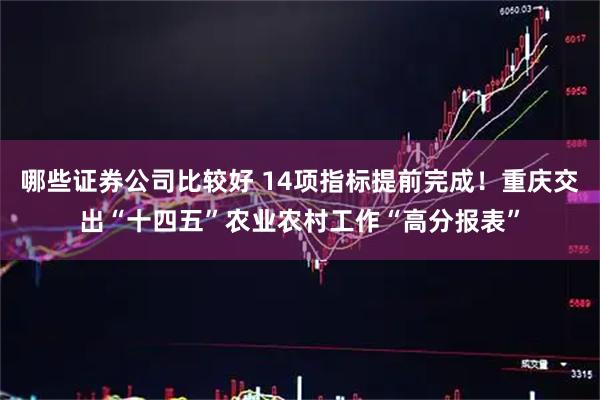 哪些证券公司比较好 14项指标提前完成！重庆交出“十四五”农业农村工作“高分报表”