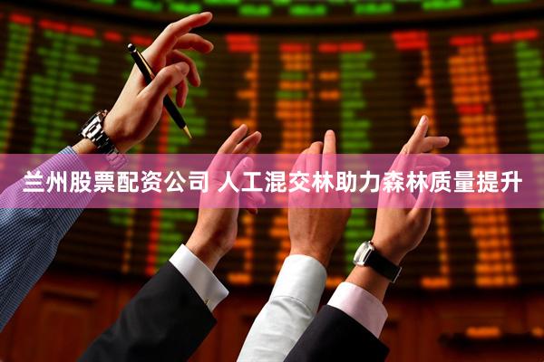 兰州股票配资公司 人工混交林助力森林质量提升